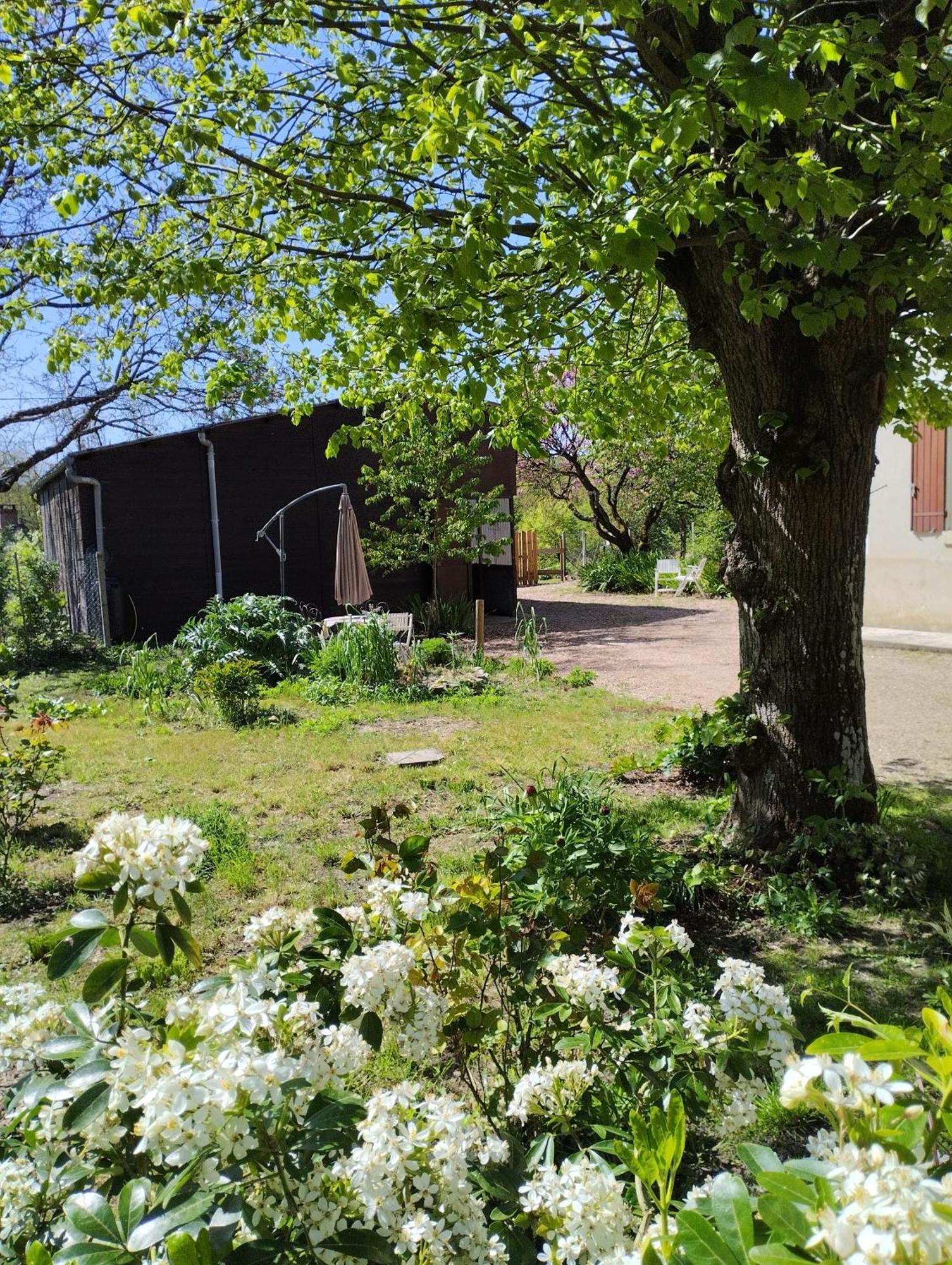 La Jolie Ruche Villa Saint-Georges-sur-Cher Exterior foto